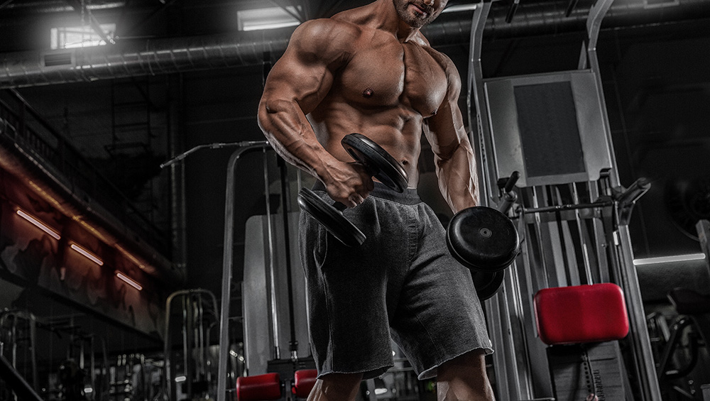 Muscular Guy Holding Two Dumbells